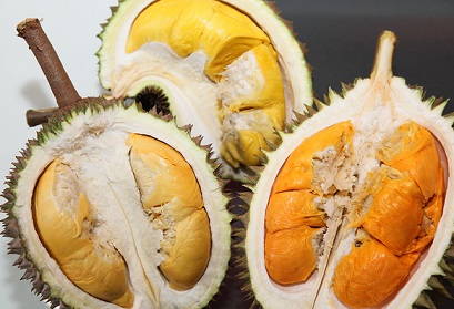 durian