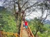 Rumah Pohon dan Jembatan Kayu Gantung Curug Ciherang Jonggol