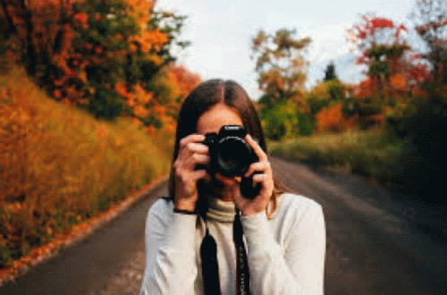 Rekomendasi Merk Kamera Mirrorless untuk Para Pecinta Fotografi